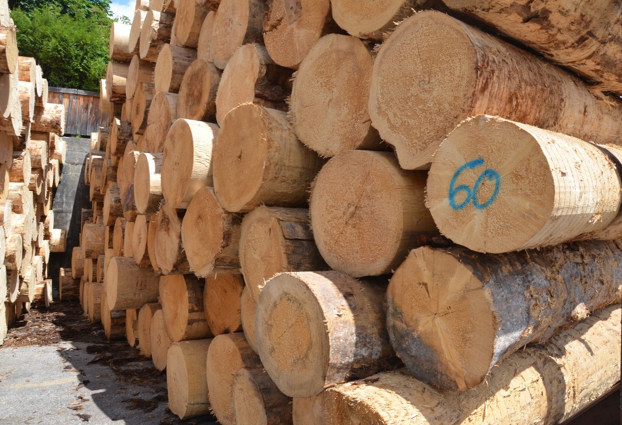 China Imports More Log Wood